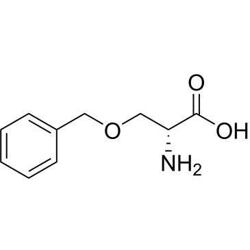 CS-W010624
