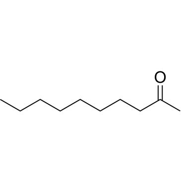 CS-W010919