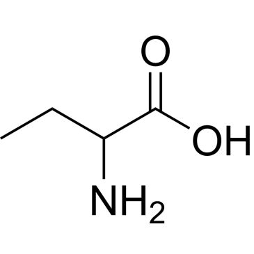 CS-W011306