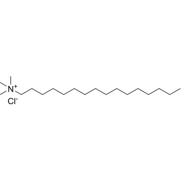 CS-W012007