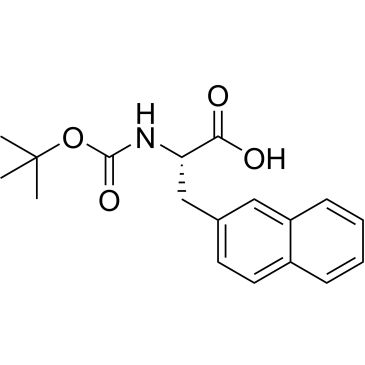 CS-W012037