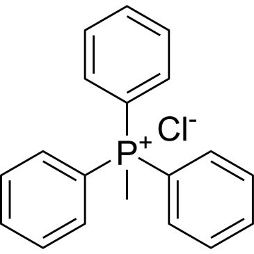 CS-W012048