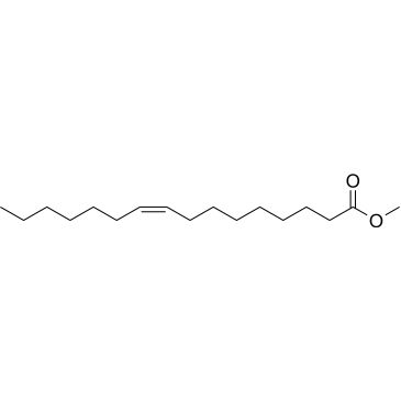 CS-W012404