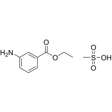 CS-W012493