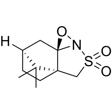 CS-W012975
