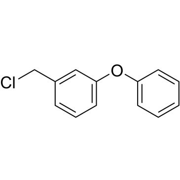 CS-W013157