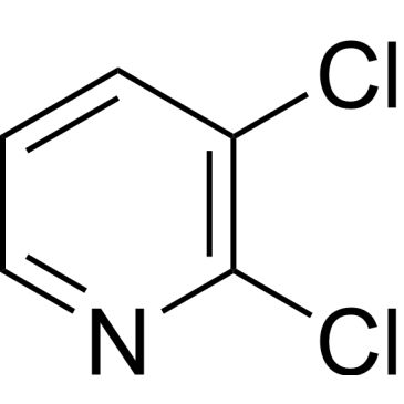 CS-W013307