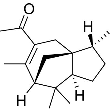 CS-W014117