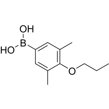 CS-W015240