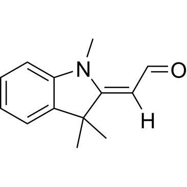 CS-W015551