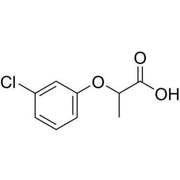 CS-W015587