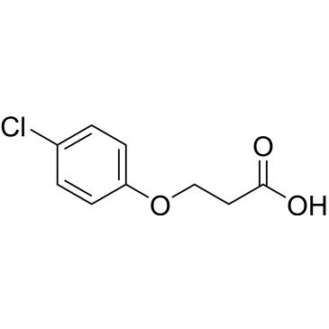 CS-W015588