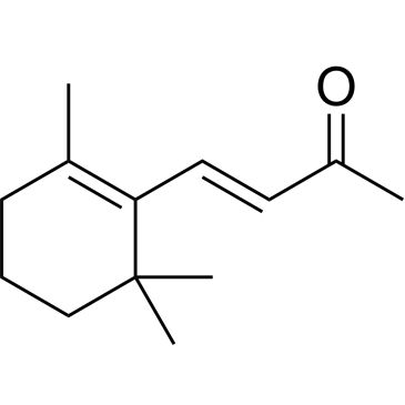 CS-W015800