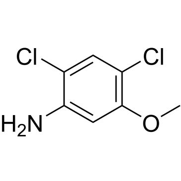 CS-W015831