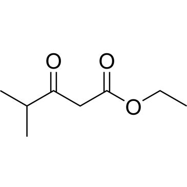 CS-W016205
