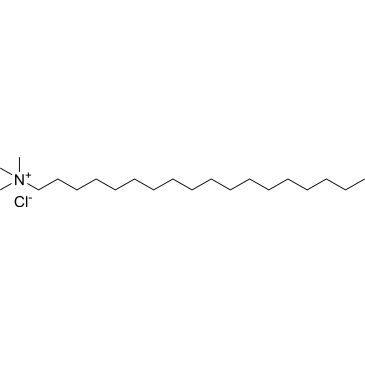 CS-W016737