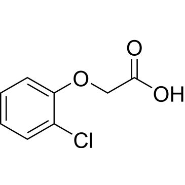 CS-W016882