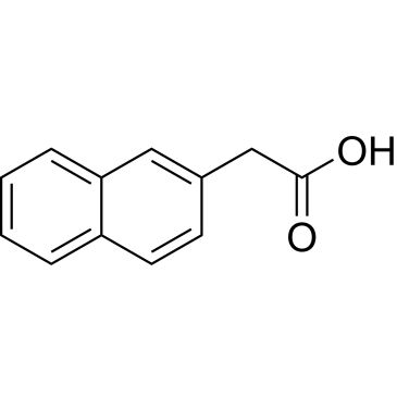 CS-W016903