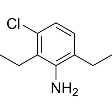 CS-W017033