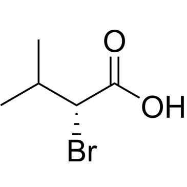 CS-W017175
