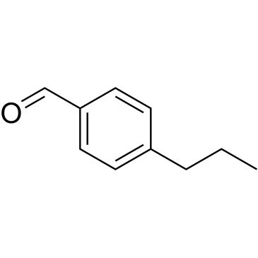 CS-W017745