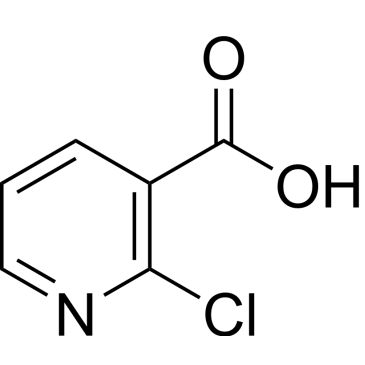 CS-W017965