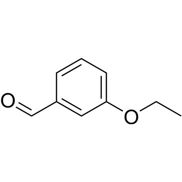 CS-W018146