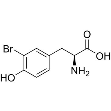 CS-W019172