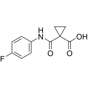 CS-W019220