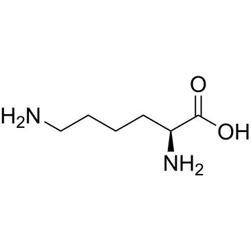 CS-W019758