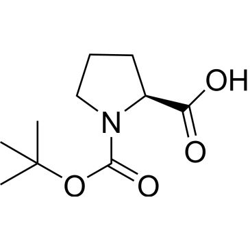 CS-W019862
