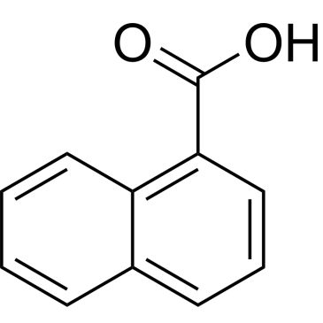 CS-W020013