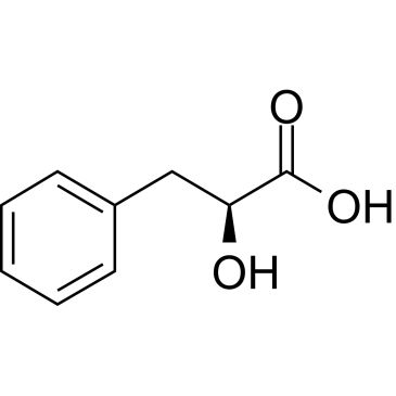 CS-W020023