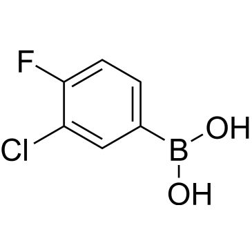 CS-W020055