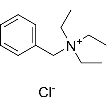 CS-W020099