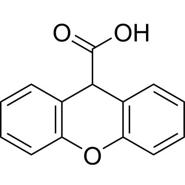 CS-W020578