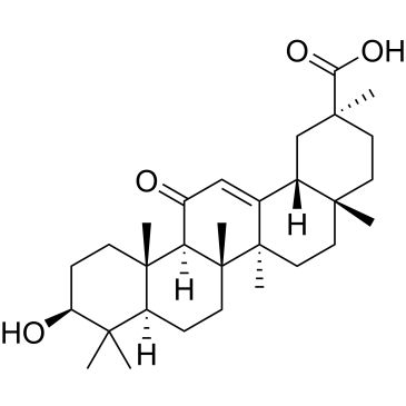 CS-W020624