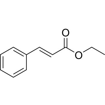 CS-W020629