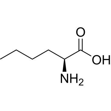 CS-W020710