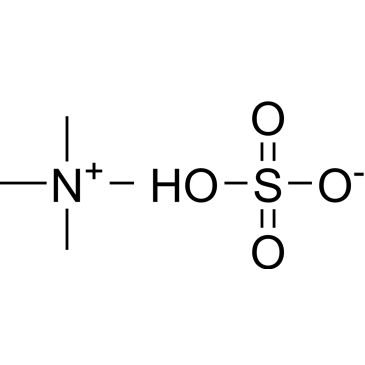 CS-W020924