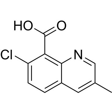 CS-W020999