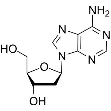 CS-W021069