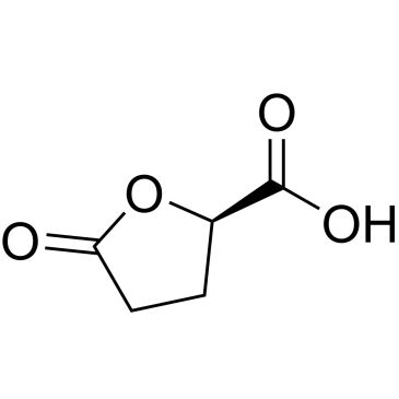 CS-W021140