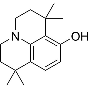 CS-W021266