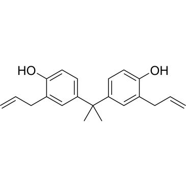 CS-W022036