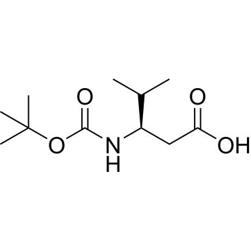 CS-W022609