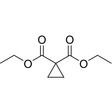 CS-W022623