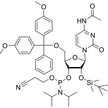 CS-W023256