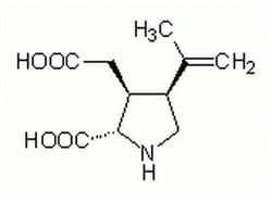 42-031-810MG
