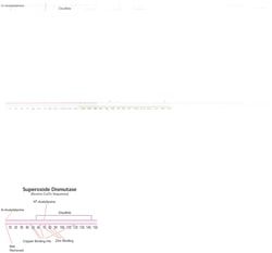 MP219011732